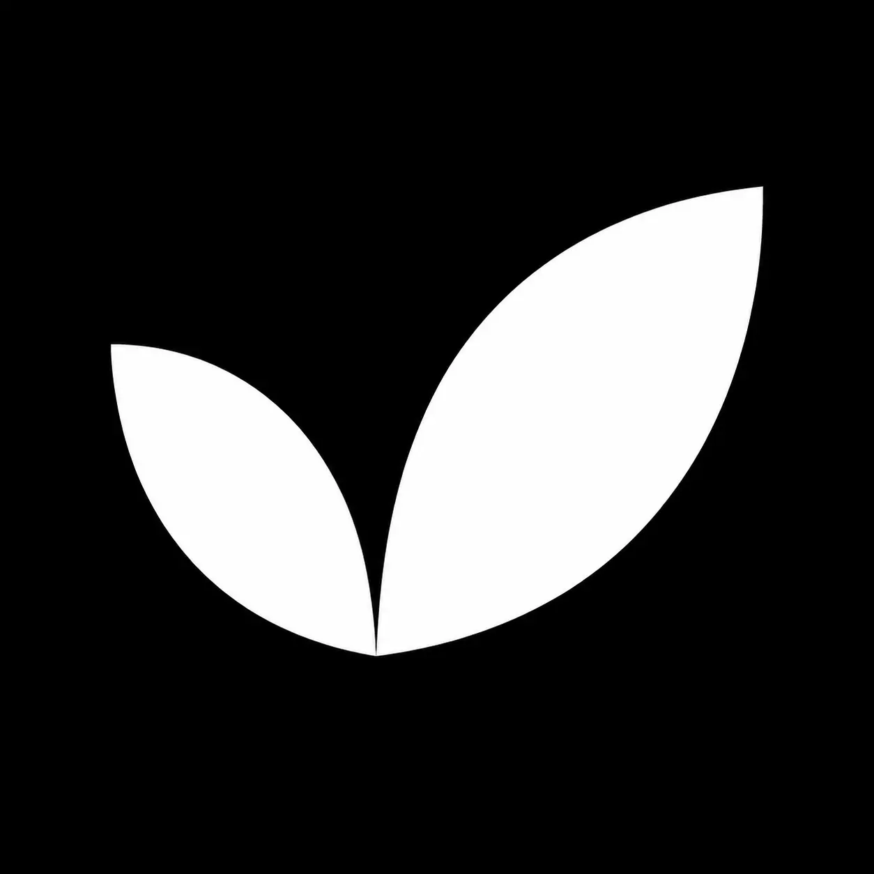 Cool Interest logo